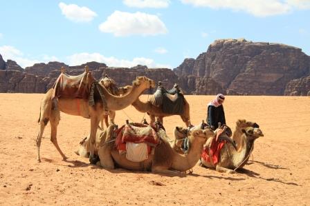 La Jordanie, Petra et le désert du Wadi Rum... 12