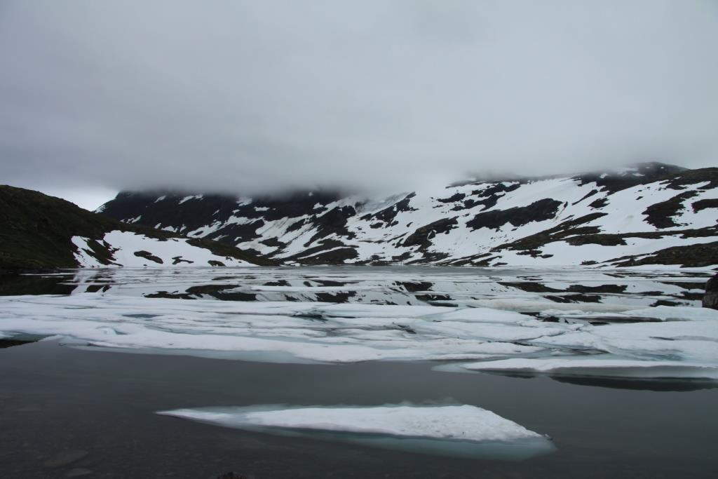 La Norvège, les fjords et les glaciers... 013