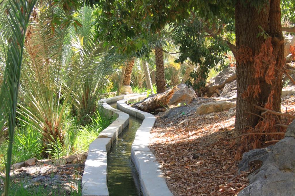 Le sultanat d'Oman 004