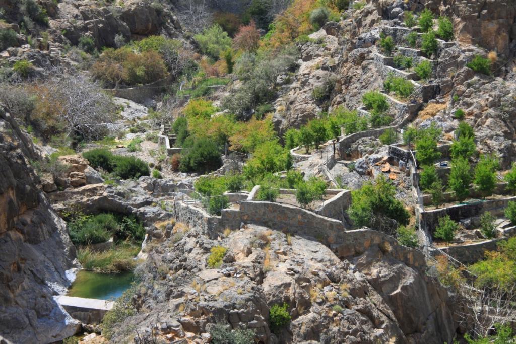 Le sultanat d'Oman 011